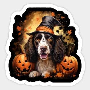 English springer spaniel Sticker